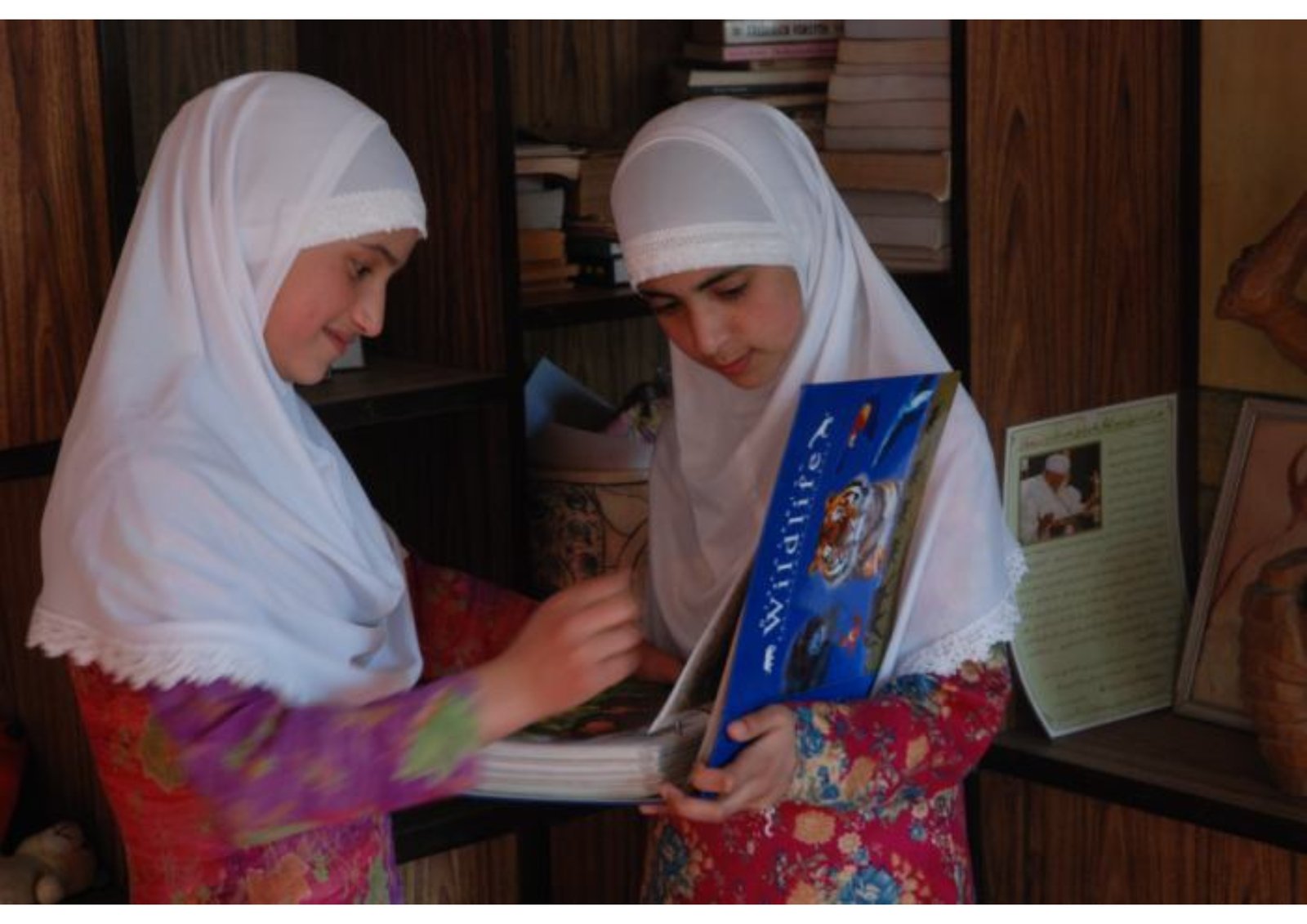 Skills development workshops